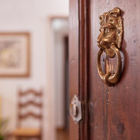 Appartamento La Mi Casa A Pisa Esterno foto